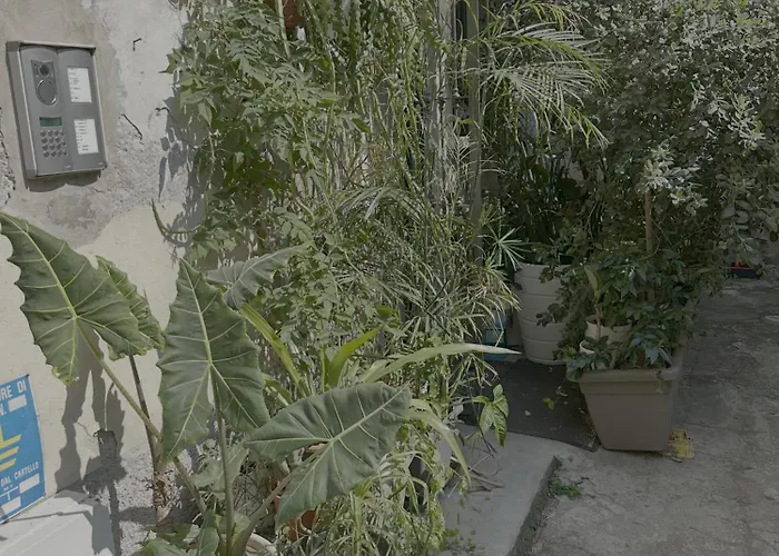 Next To Bocconi Daire *